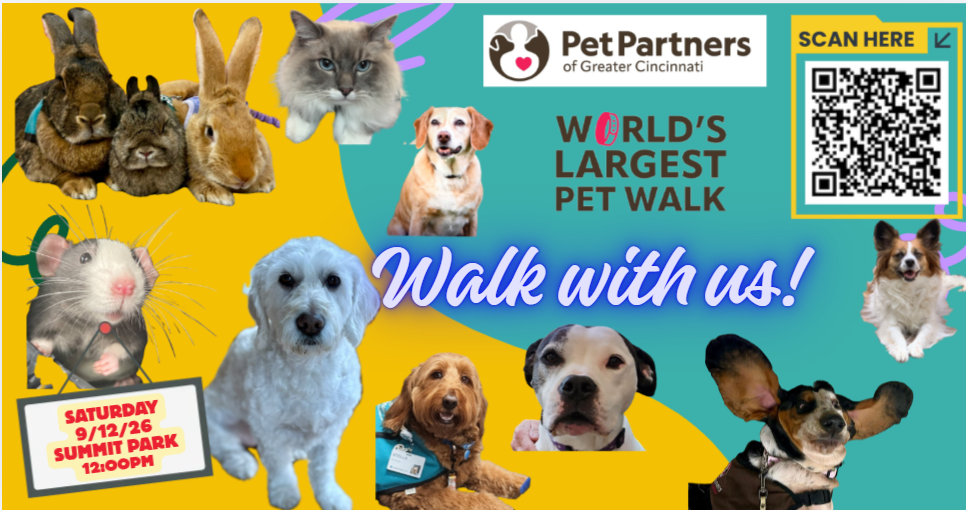 Fall in Love with These Pet-Friendly Events